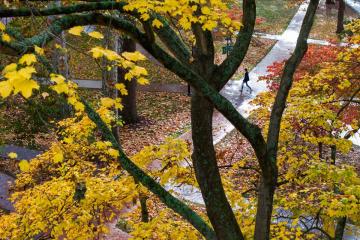 A student walks on College Green. 
