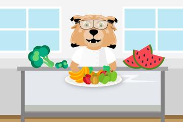 Illustration of Rufus with healthy food options. Masters in nutrition online.