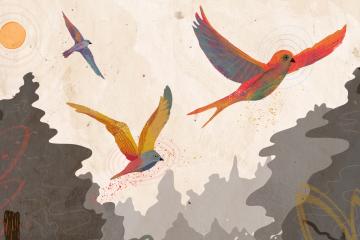 Illustration with three birds soaring