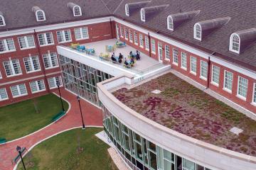 The living roof on The Patton College’s McCracken Hall came alive earlier this spring, once the late spring snow storms passed through and the days grew longer. Photo by Ben Wirtz Siegel, BSVC ’02