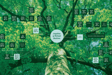 Bobcat Family tree infographic gif 