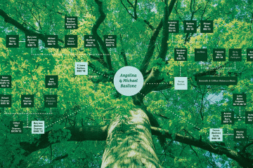 Bobcat family tree infographic