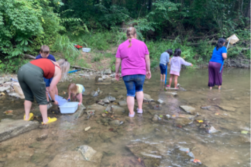 Students and teachers work  in a stream during a community STEM Day activity