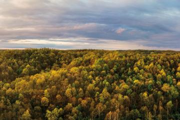 : an aerial view of a heavily wooded area in Southeast Ohio, with leaves in shades of green and yellow under a cloudy, bluish-purple sky