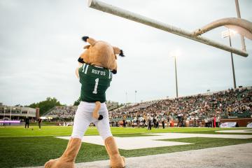 Rufus looks on at Peden Stadium during Homecoming 2024