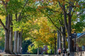 OHIO students walk on pathways surrounded by colorful trees on a Fall day on the Athens Campus
