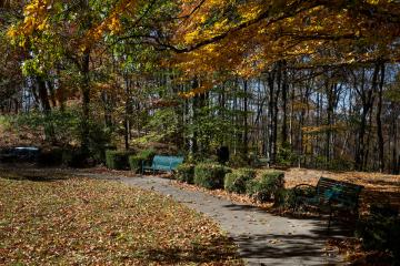 A scenic pathway near park benches and bushes is surrounded by colorful leaves during a Fall day at Ohio University Chillicothe