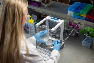 A research works at The Institute for Molecular Medicine and Aging at Ohio University
