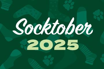 Socktober 2025! Make a donation to the OHIO cause you love and receive a pair of designer socks as a thank you!