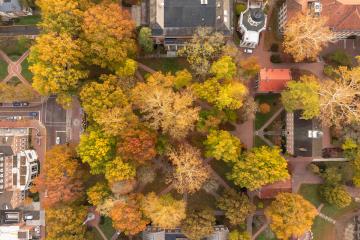 A drone shot of fall trees on OHIO's campus