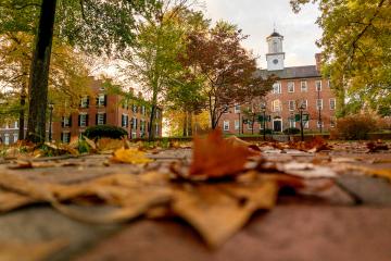 Fall leaves are on the brick pathway in front of Cutler Hall and other buildings on the College Green