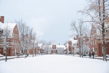 The West Green is shown covered  in snow