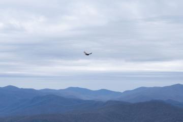 Birds-eye view of the Appalachian Mountains. 