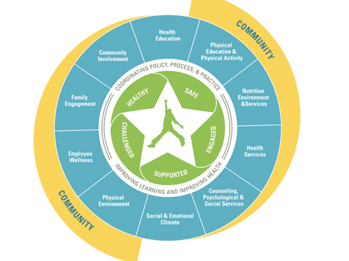 A photo of the WSCC model chart