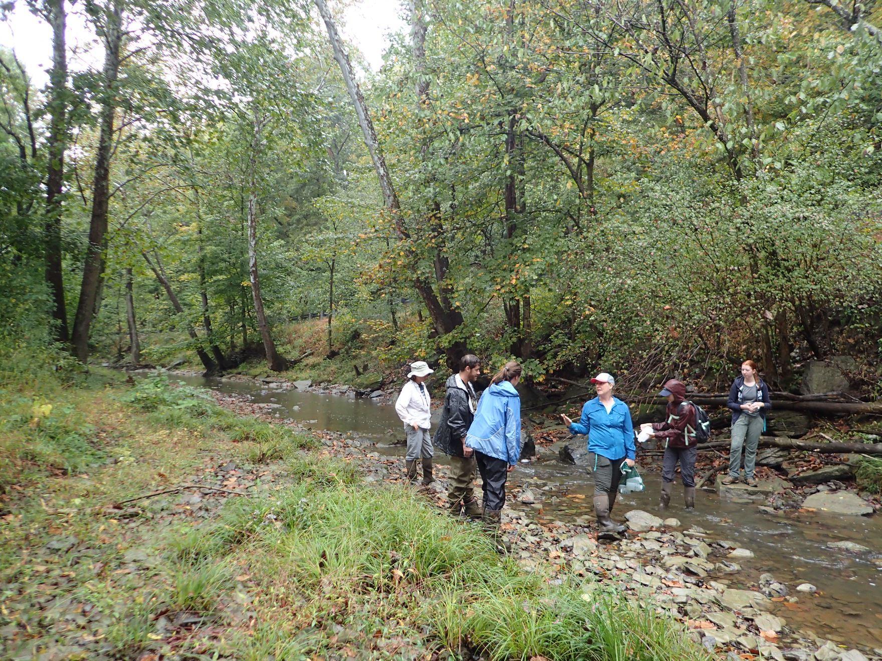 Image of a sample trip for the restoration project. 